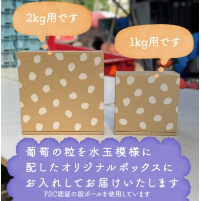 【2026年発送分先行受付】巨峰ぶどう(種なし) 　2房　1kg 以上　産地直送　山梨県山梨市牧丘産【配送不可地域：離島・沖縄県】