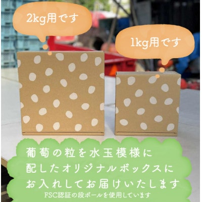 【年内発送】冬に食べられる シャインマスカット 4房 (計2kg以上) 山梨産【配送不可地域：離島・沖縄県】
