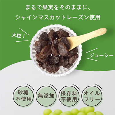 無添加 グラノーラ 柿 シャインマスカット ドライフルーツ入り 60g×2袋 シリアル オートミール