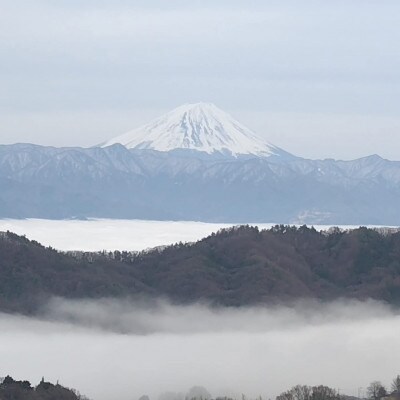 【2026年先行受付】10月上旬発送「牧丘天空マスカットノワール」約1kg(2～3房)【配送不可地域：離島】