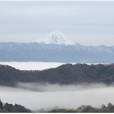 【2026年先行受付】10月下旬より発送「牧丘天空の丘マスカットノワール」約1kg(2～3房)【配送不可地域：離島】