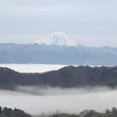 【2026年先行受付】10月中旬発送「牧丘天空マスカットノワール」約1kg(2～3房)【配送不可地域：離島】