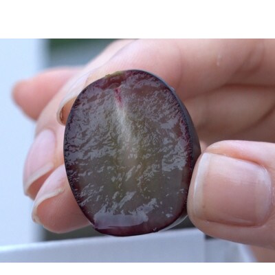 【2026年先行受付】皮ごと食べられるぶどう3色詰め合わせ 約1kg(3房)【配送不可地域：離島】