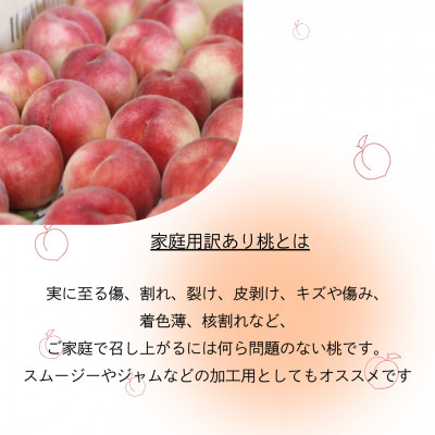 【2026年先行受付】訳あり桃!3kg前後 ご家庭用 加工用に!【配送不可地域：離島】