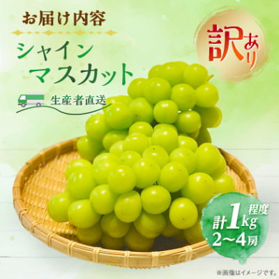 【2026年先行受付】訳あり!生産者直送シャインマスカット 計1kg【味には妥協なし!】【配送不可地域：離島】