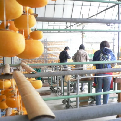 先代から受け継ぐヤマシタの『あんぽ柿』1kg詰