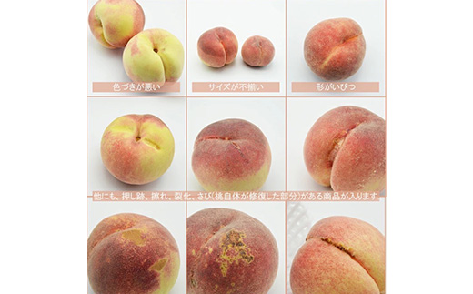 2026年発送 山梨市産 訳あり桃 約2kg(4～8玉)【配送不可地域：離島】