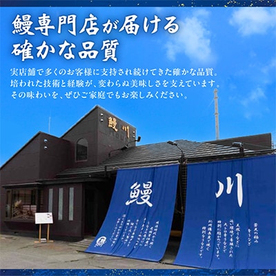 【訳あり】山梨県産富士山脈の地下水うなぎの蒲焼 3尾【配送不可地域：離島】