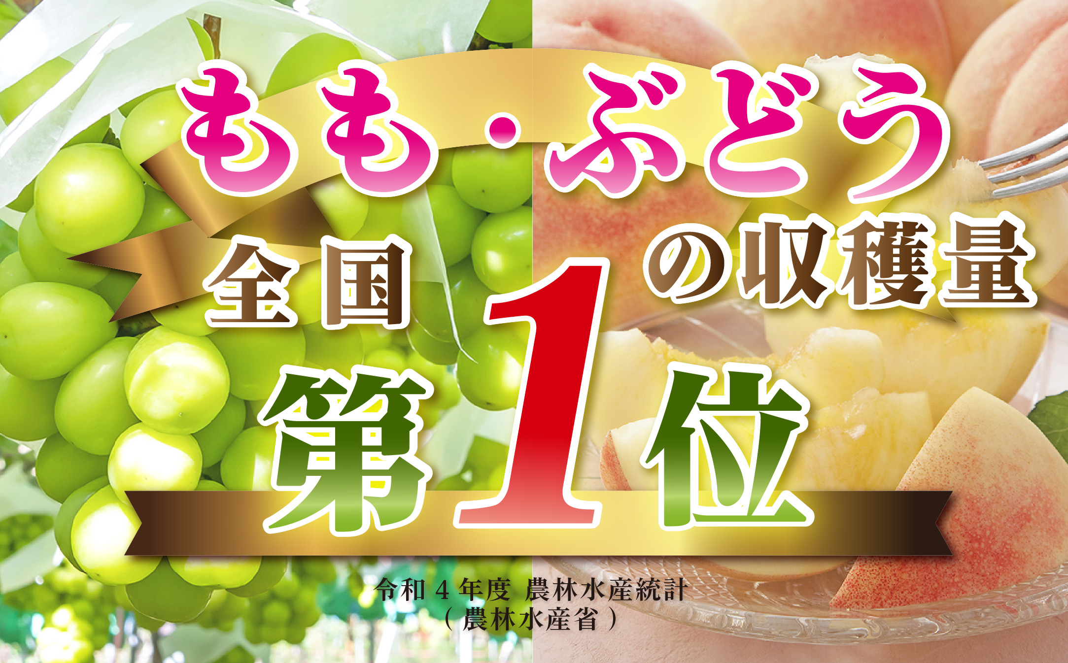 【発送月固定定期便】2026年発送 山梨フルーツ旬の果物 桃+シャインマスカット 全2回【配送不可地域：離島・沖縄県】