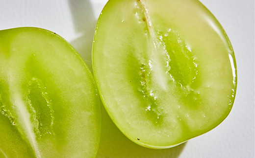 【発送月固定定期便】【訳アリ】山梨の桃と黒ぶどう・シャインマスカット全3回【配送不可地域：離島・沖縄県】