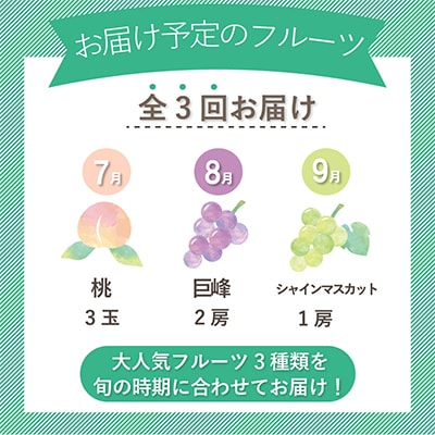 【発送月固定定期便】山梨県産旬の大人気フルーツ【桃・巨峰・シャインマスカット】お試し定期便 全3回【配送不可地域：離島・沖縄県】
