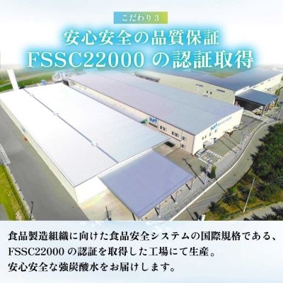 【毎月定期便】サーフ　VOLT(ボルト)強炭酸水レモン 1L×12本　1ケース　国産炭酸水全3回