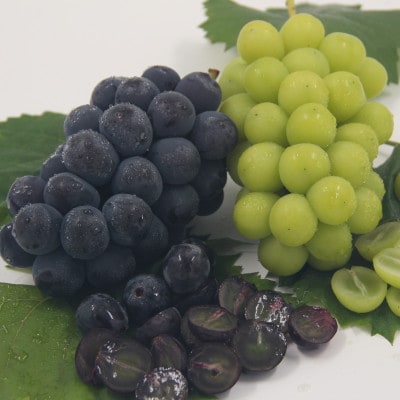 【発送月固定定期便】フルーツ定期便全3回【配送不可地域：離島・沖縄県】