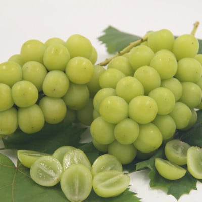 【発送月固定定期便】フルーツ定期便全4回【配送不可地域：離島】