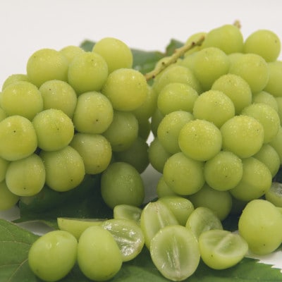 【発送月固定定期便】フルーツ定期便全5回【配送不可地域：離島】