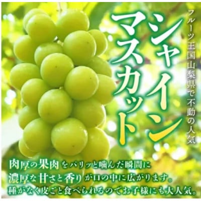 【発送月固定定期便】桃3玉　黒ぶどう1房(500g以上)シャインマスカット1房(500g以上)全3回【配送不可地域：離島】