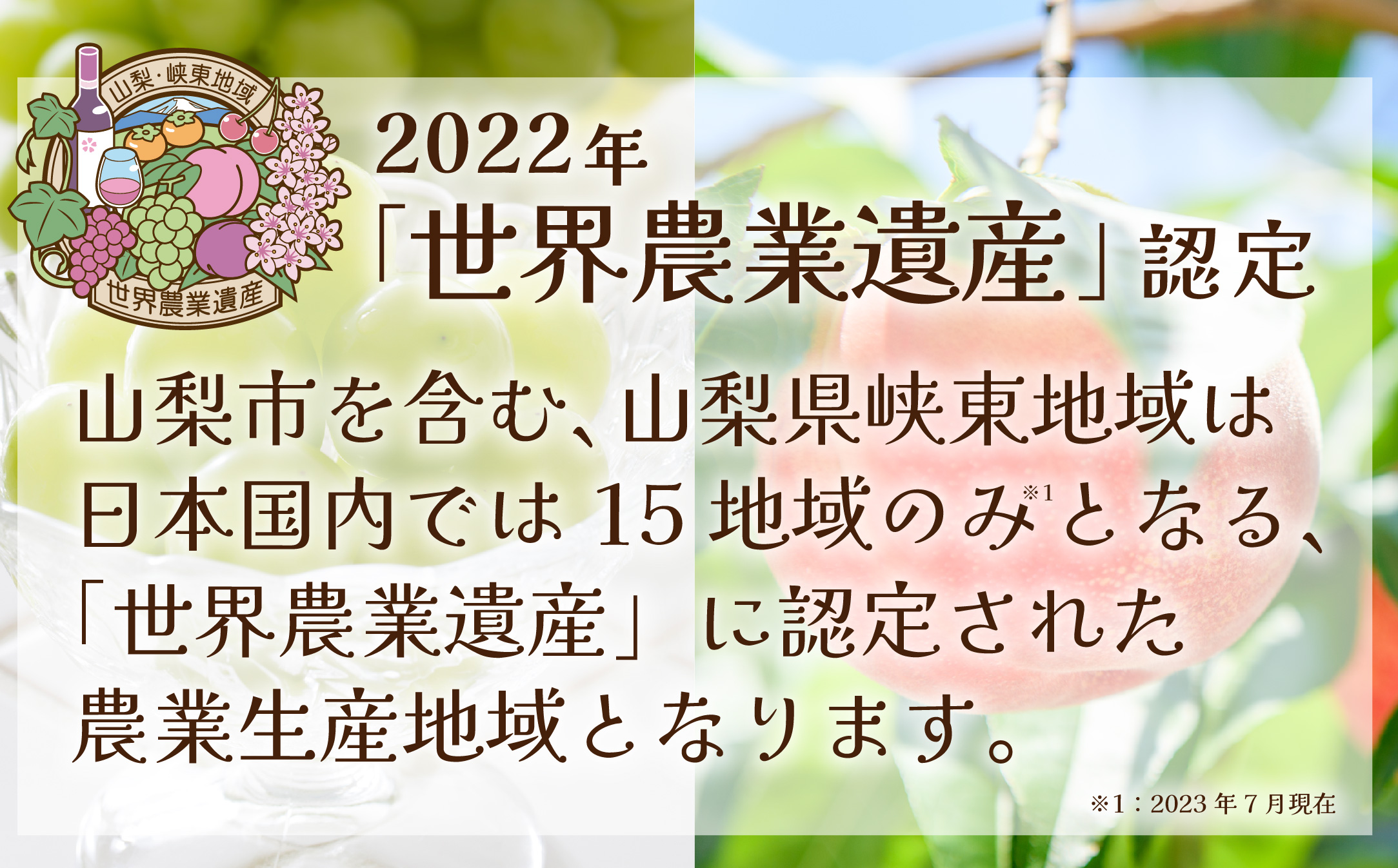 【発送月固定定期便】2026年発送 山梨フルーツ旬の果物 桃+シャインマスカット 全2回【配送不可地域：離島・沖縄県】