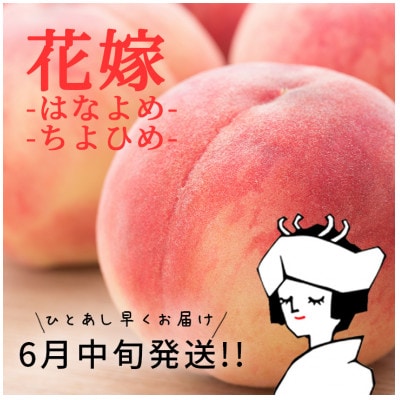 旬を先取り!甘く可憐な「花嫁(はなよめ)」「ちよひめ」約1kg 6月中旬発送【配送不可地域：離島・沖縄県】