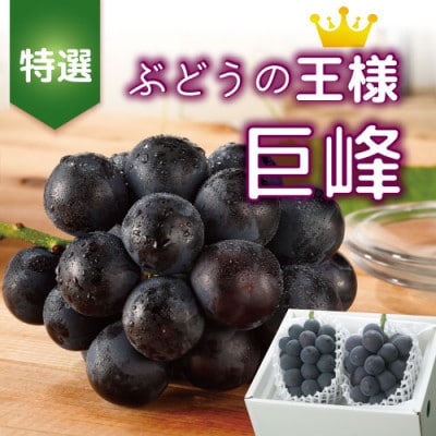 【2026年発送分先行受付】山梨産 巨峰(種無し) 2房 約1kg 化粧箱入り【配送不可地域：離島・沖縄県】