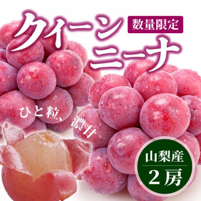 【数量限定】希少!赤い宝石　『クイーンニーナ』　2房　山梨のぶどう　クインニーナ【配送不可地域：離島・沖縄県】