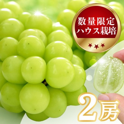 【数量限定】6月下旬～7月中旬発送ハウス栽培の『シャインマスカット』 2房　約1kg【配送不可地域：離島・沖縄県】