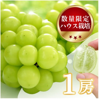 【数量限定 】6月下旬～7月中旬発送。ハウス栽培の『シャインマスカット』 1房【配送不可地域：離島・沖縄県】