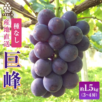 2026年先行受付銀河農園まきおか 巨峰 約1.5kg (3～4房)【配送不可地域：離島】