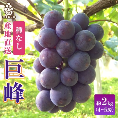 2026年先行受付 銀河農園まきおかの甘くてジューシーな巨峰(種なし)約2kg(4～5房)【配送不可地域：離島】