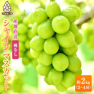2026年先行販売　銀河農園まきおか シャインマスカット 約2.0kg (3～4房)【配送不可地域：離島】