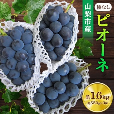 【2026年先行受付】ピオーネ 約550g×3房 山梨市産 「ピオーネ(種なし)」 詰め合わせ【配送不可地域：離島・沖縄県】