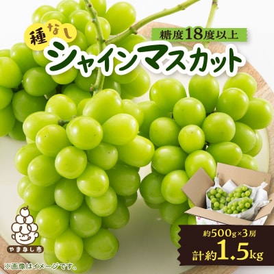 【2026年先行受付】山梨市産「シャインマスカット(種なし)」 約1.5kg (約500g×3房)【配送不可地域：離島・沖縄県】