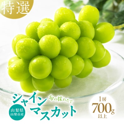 【2026年発送先行受付】山梨県山梨市産　特選　旬の採れたてシャインマスカット1房　(700g以上)【配送不可地域：離島】