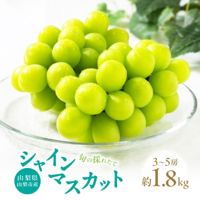 2026年先行受付　山梨市産 旬の採れたてフルーツ シャインマスカット秀等品 約1.8kg 3～5房【配送不可地域：離島・沖縄県】