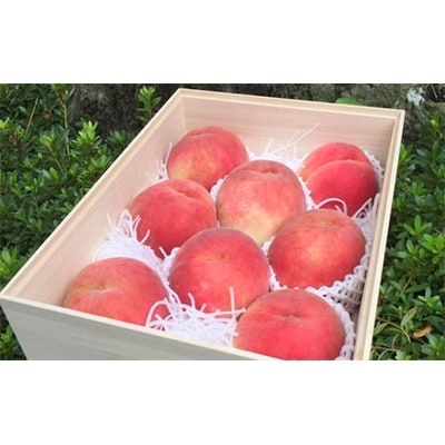 【2026発送予定】数量限定!【高級桃桐箱入り】8～9玉入り　山梨市産地直送　約3kg箱【配送不可地域：離島】