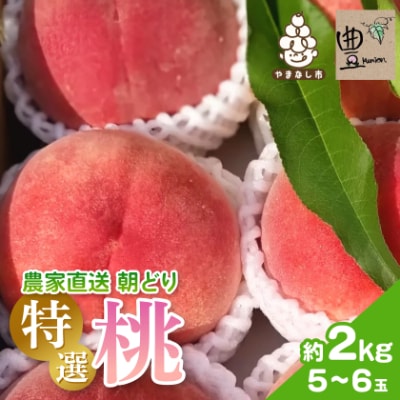 【2026発送予定】農家直送朝どり桃!大きくて甘い特選桃5～6玉入り山梨市産地直送約2kg箱【配送不可地域：離島】