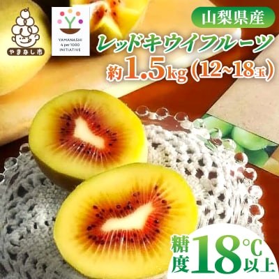 【2026発送】レッドキウイフルーツ化粧箱入り　産地直送約1.5kg(12～18玉)【配送不可地域：離島】