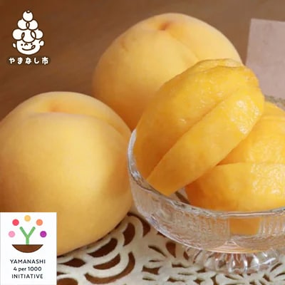 【2026発送予定】黄金桃　農家朝どり直送特選桃　4～6玉入り　2kg以上【配送不可地域：離島】