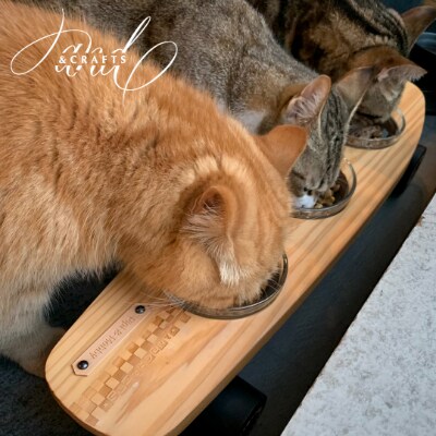 【＆CRAFTS】Pet bowls stand-3BOWLS-(Black)※名入れプレート付き