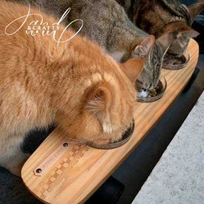 【＆CRAFTS】Pet bowls stand-3BOWLS-(Red)※名入れプレート付き