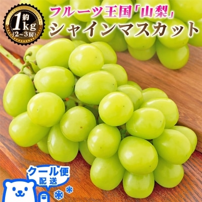 2026年発送 山梨県産 シャインマスカット 約1kg(2～3房) 山梨が誇る人気果物 熟練農家厳選【配送不可地域：離島・沖縄県】