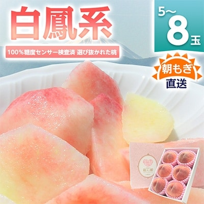 《2026年発送　先行受付》桃 『白鳳系』 約2kg 5～8玉 朝もぎ直送! 選び抜かれた桃【配送不可地域：離島】