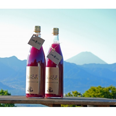 ぶどうジュース 山賊ぶどう 巨峰 100% ストレートジュース 720ml 2本 セット