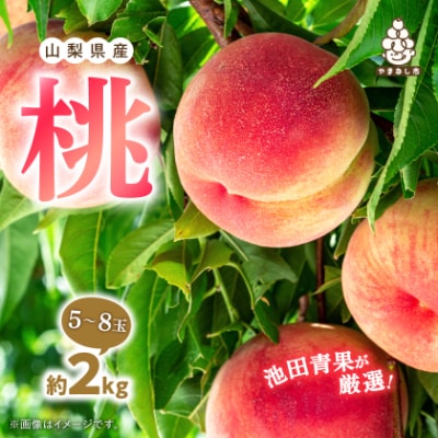 【2026年 先行受付】 桃 約2kg (5玉~8玉) 厳選 ! 池田青果の もも【配送不可地域：離島・沖縄県】