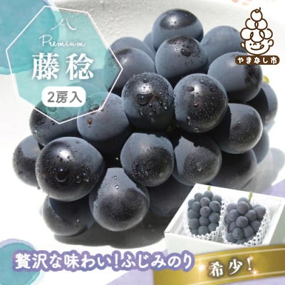 【2026年発送分先行受付】藤稔 ふじみのり (種なし) 2房 約1kg 話題の大粒ぶどう【配送不可地域：離島・沖縄県】