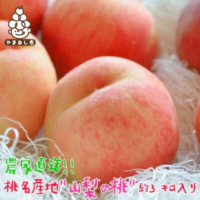 《2026年 先行予約》農家直送 桃名産地 山梨の桃 秀品 約3kg【配送不可地域：離島・沖縄県】