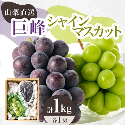 【2026年先行受付】シャインマスカット 巨峰 2種セット 大人気ぶどう2種盛り合わせ計1kg以上【配送不可地域：離島】