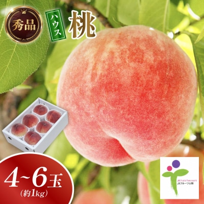 ハウスもも(4～6玉)/60【配送不可地域：離島】