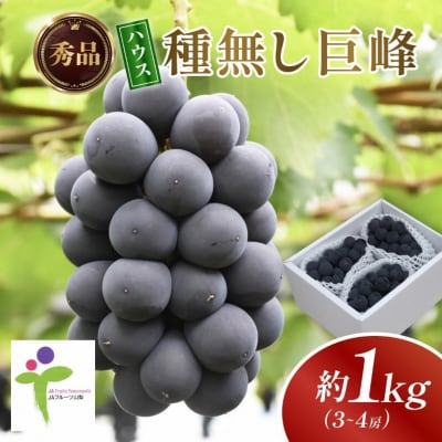 ハウス種なし巨峰(3～4房)/80【配送不可地域：離島】