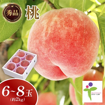 もも(6～8玉)/80【配送不可地域：離島】