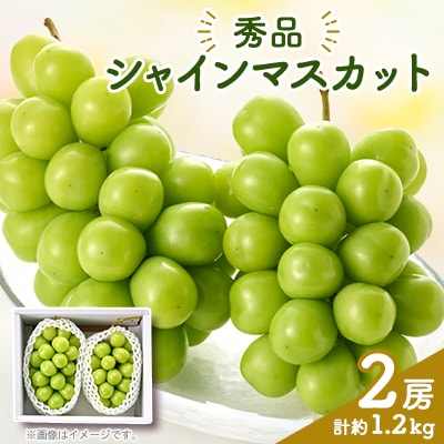 シャインマスカット(2房)【配送不可地域：離島】
